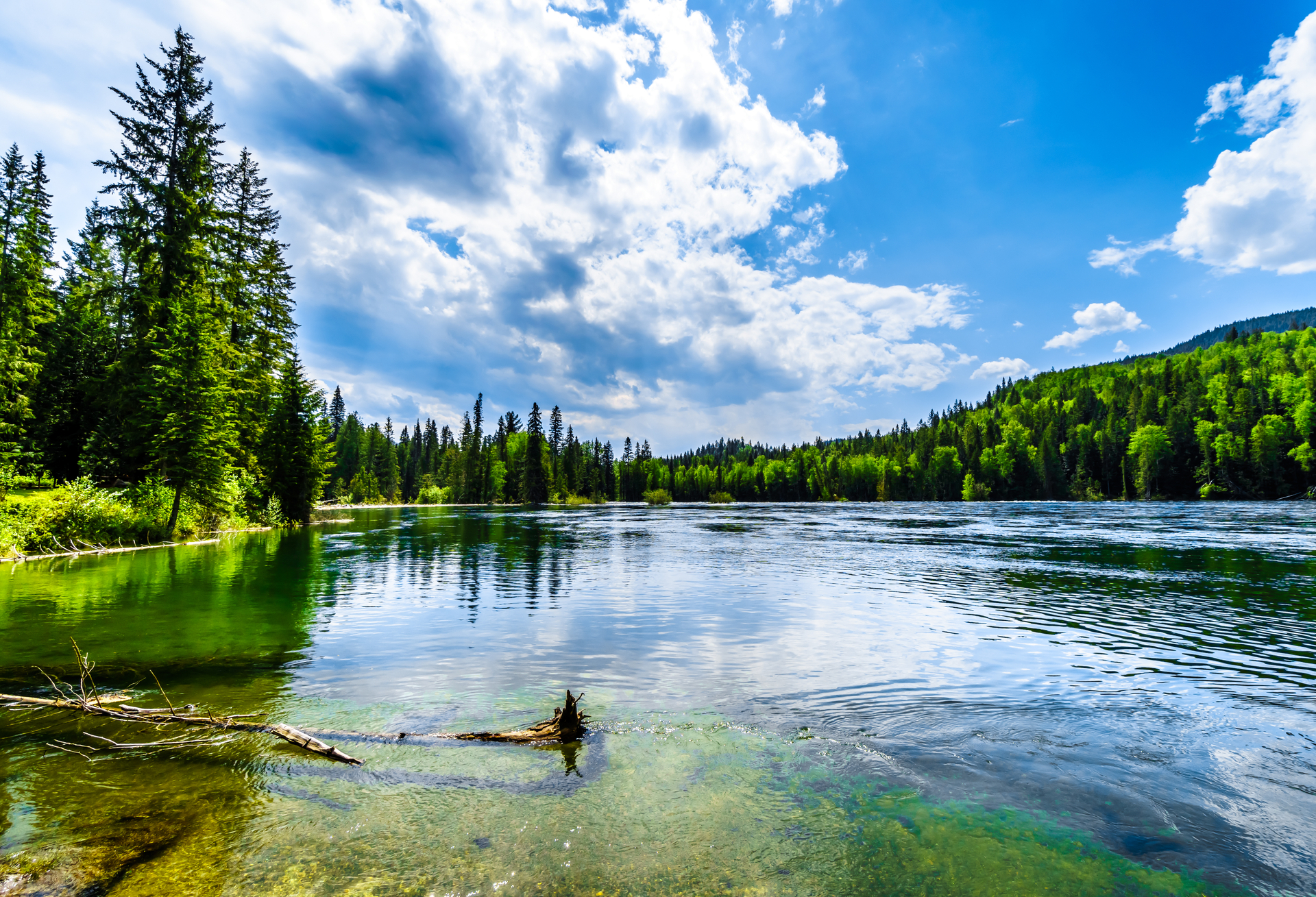 shutterstock_1106353499.jpg