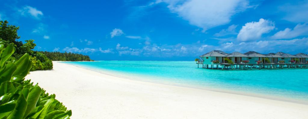 shutterstock_1142510921.jpg