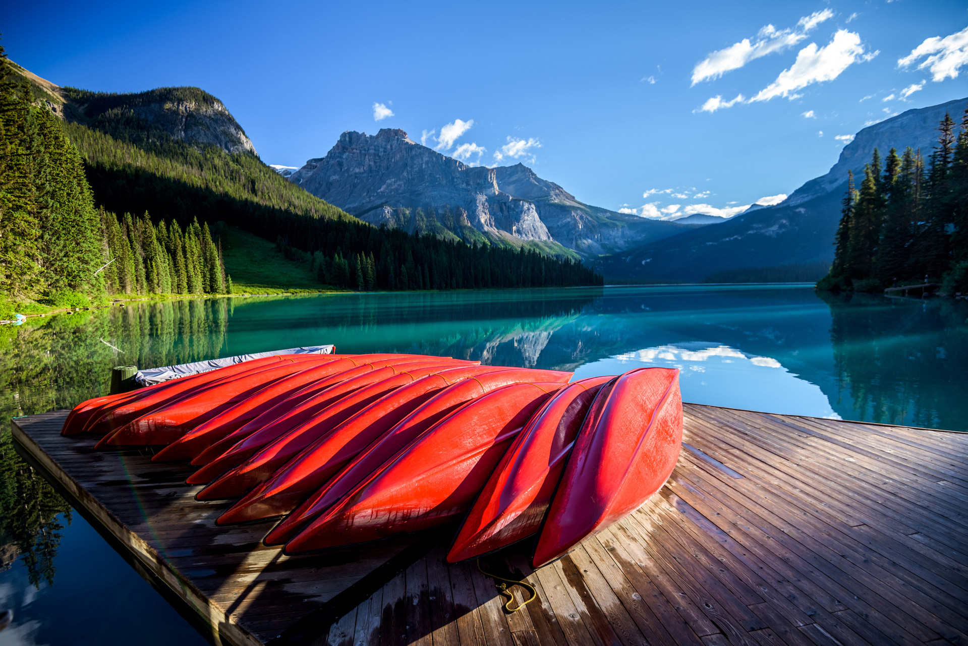 shutterstock_551871304.jpg