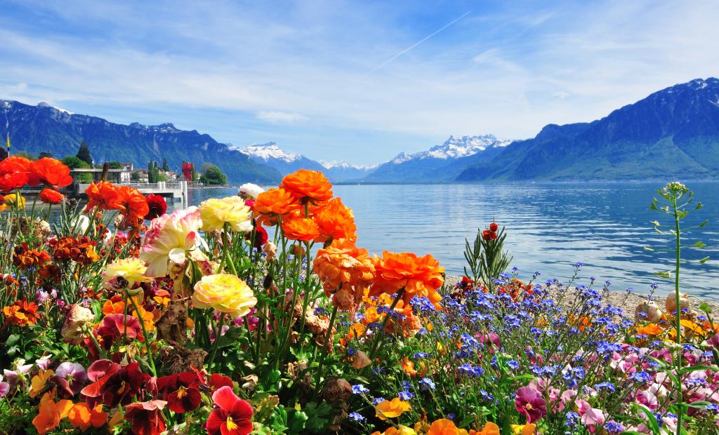 shutterstock_142338424.jpg