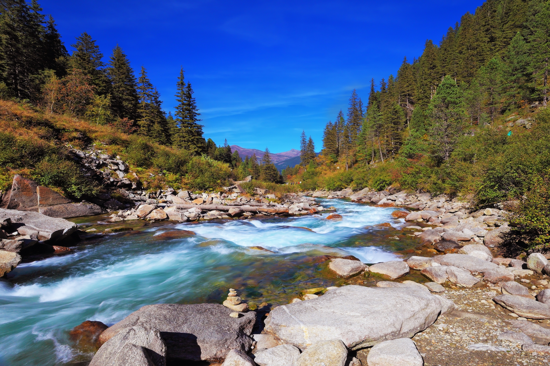 shutterstock_195277976.jpg