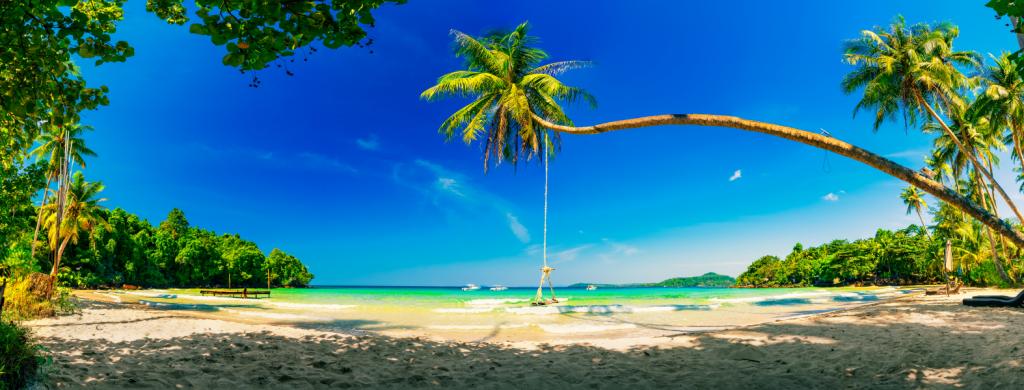 shutterstock_1302952621 (2).jpg