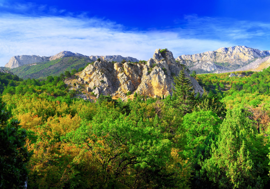 shutterstock_85177633.jpg