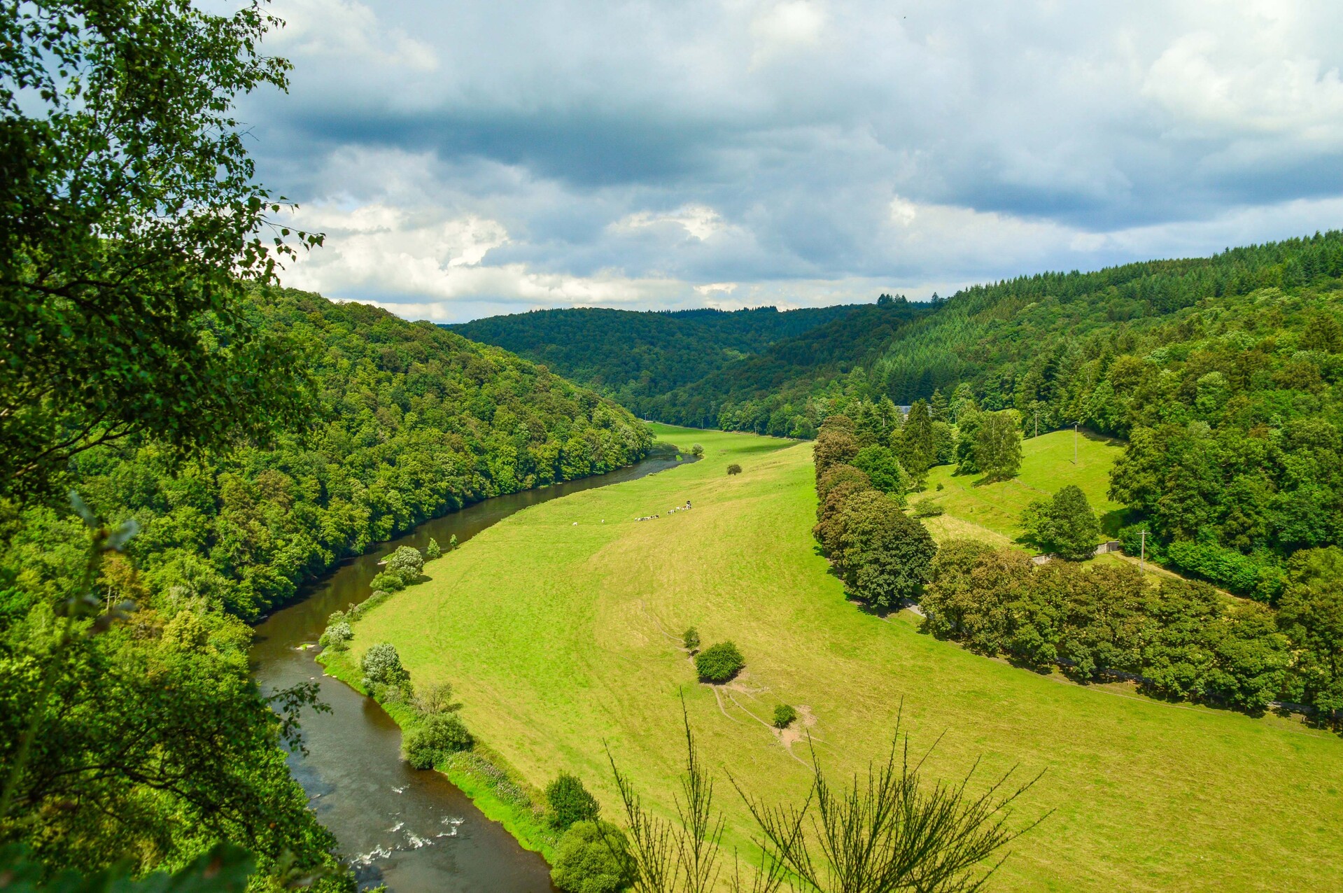 shutterstock_464954591.jpg