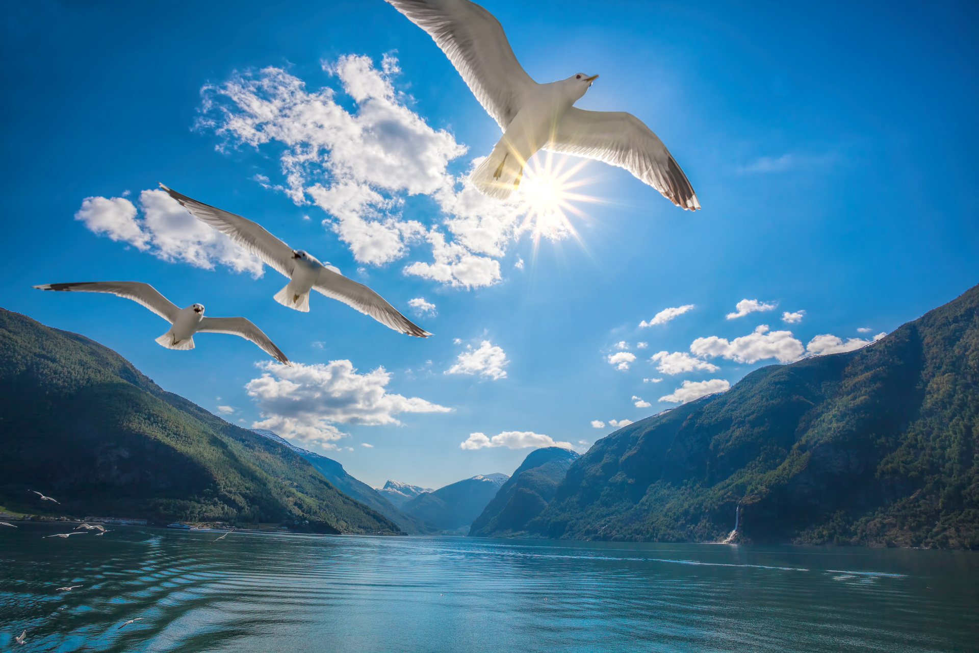 shutterstock_433172350.jpg shutterstock_433172350.jpg