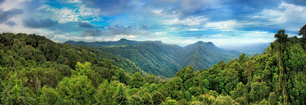 shutterstock_642470461.jpg