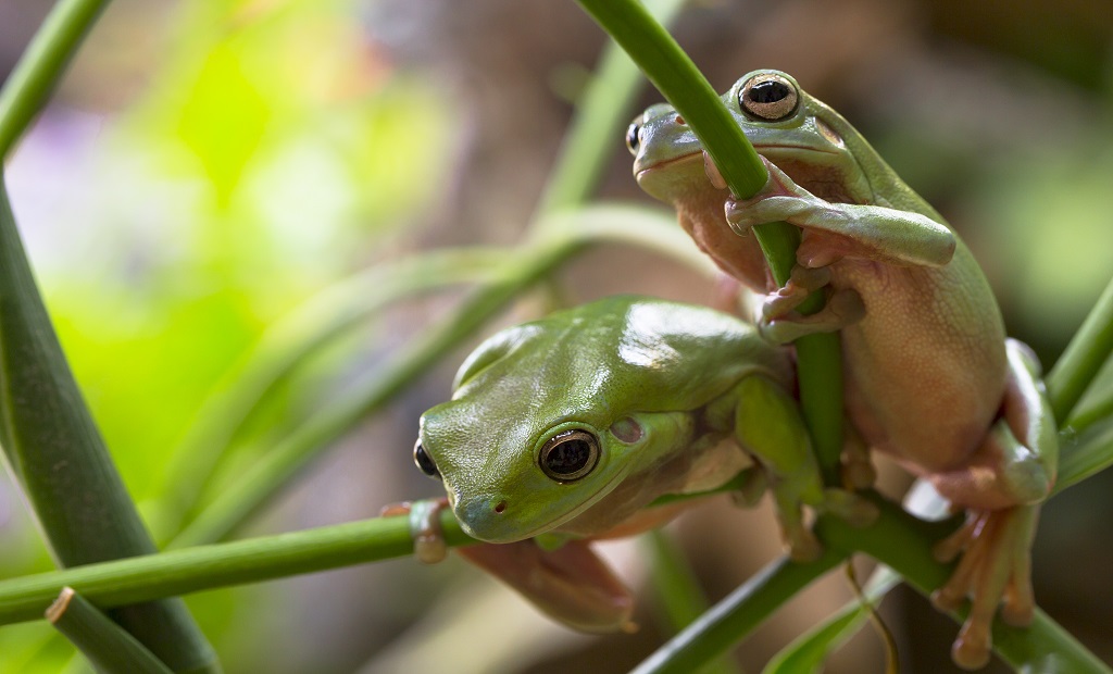 shutterstock_223162153.jpg