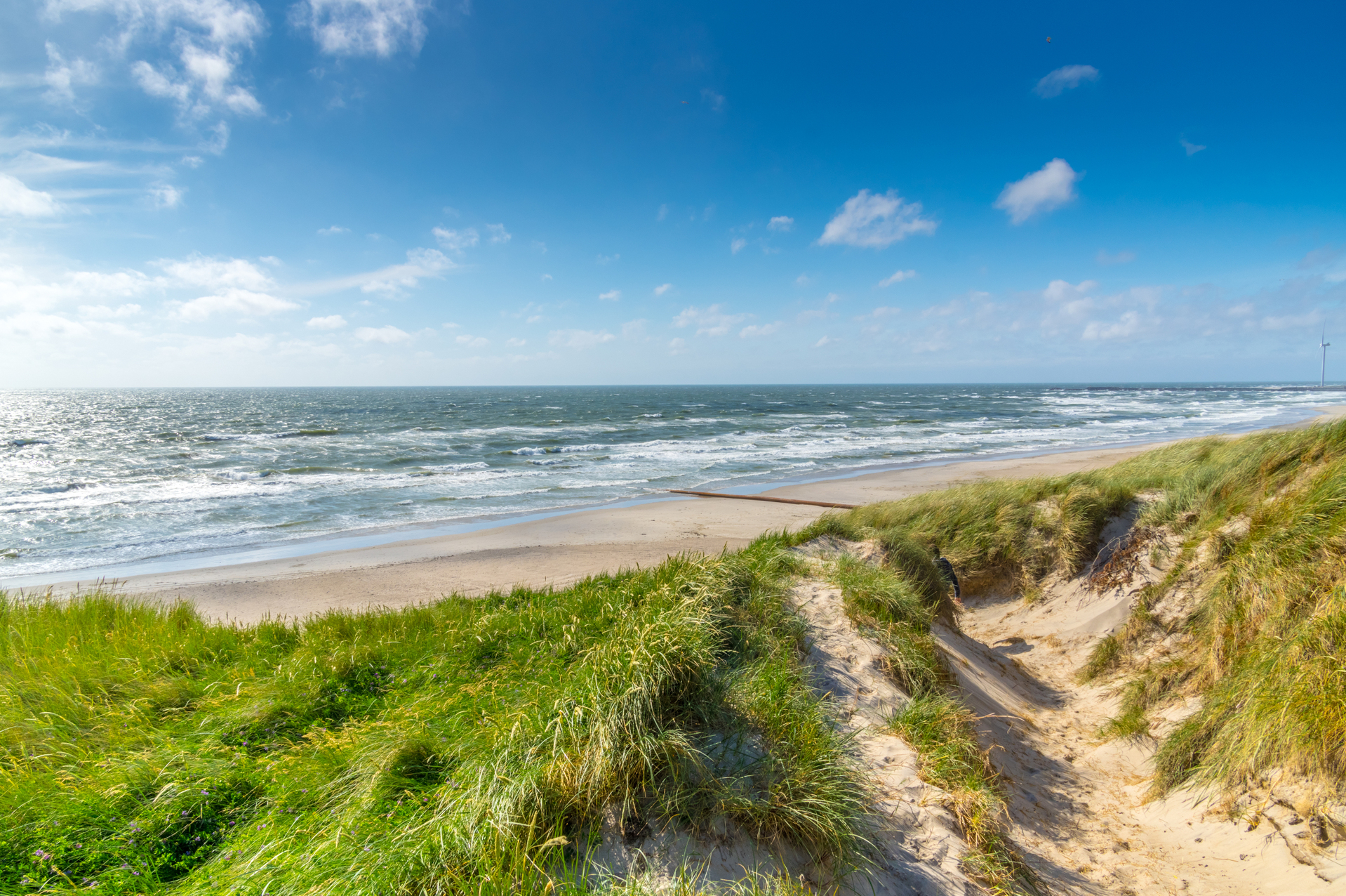 shutterstock_310497923.jpg