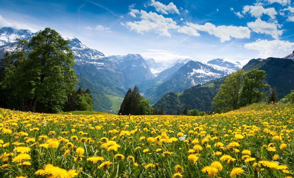 shutterstock_31053421.jpg