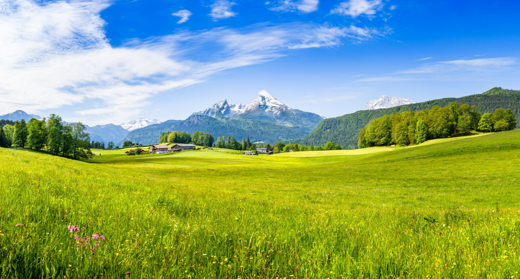 shutterstock_599007581.jpg