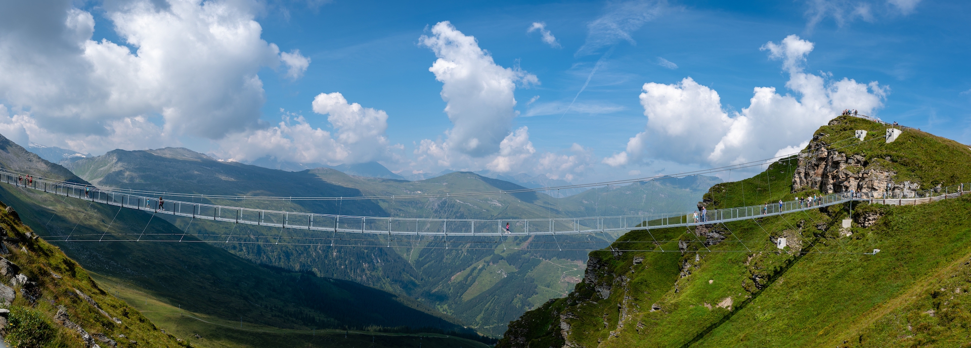 shutterstock_1225935736.jpg