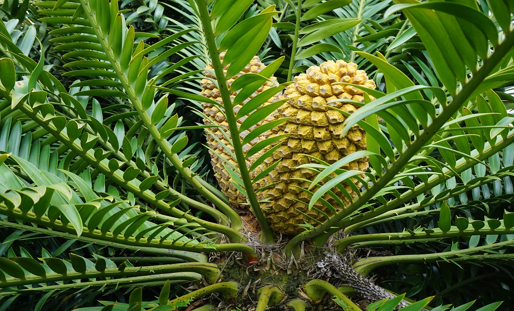 shutterstock_1665794830.jpg