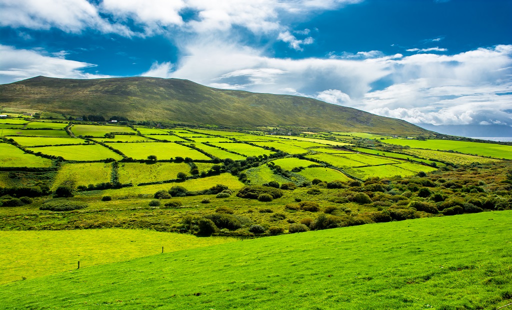 shutterstock_537817624.jpg