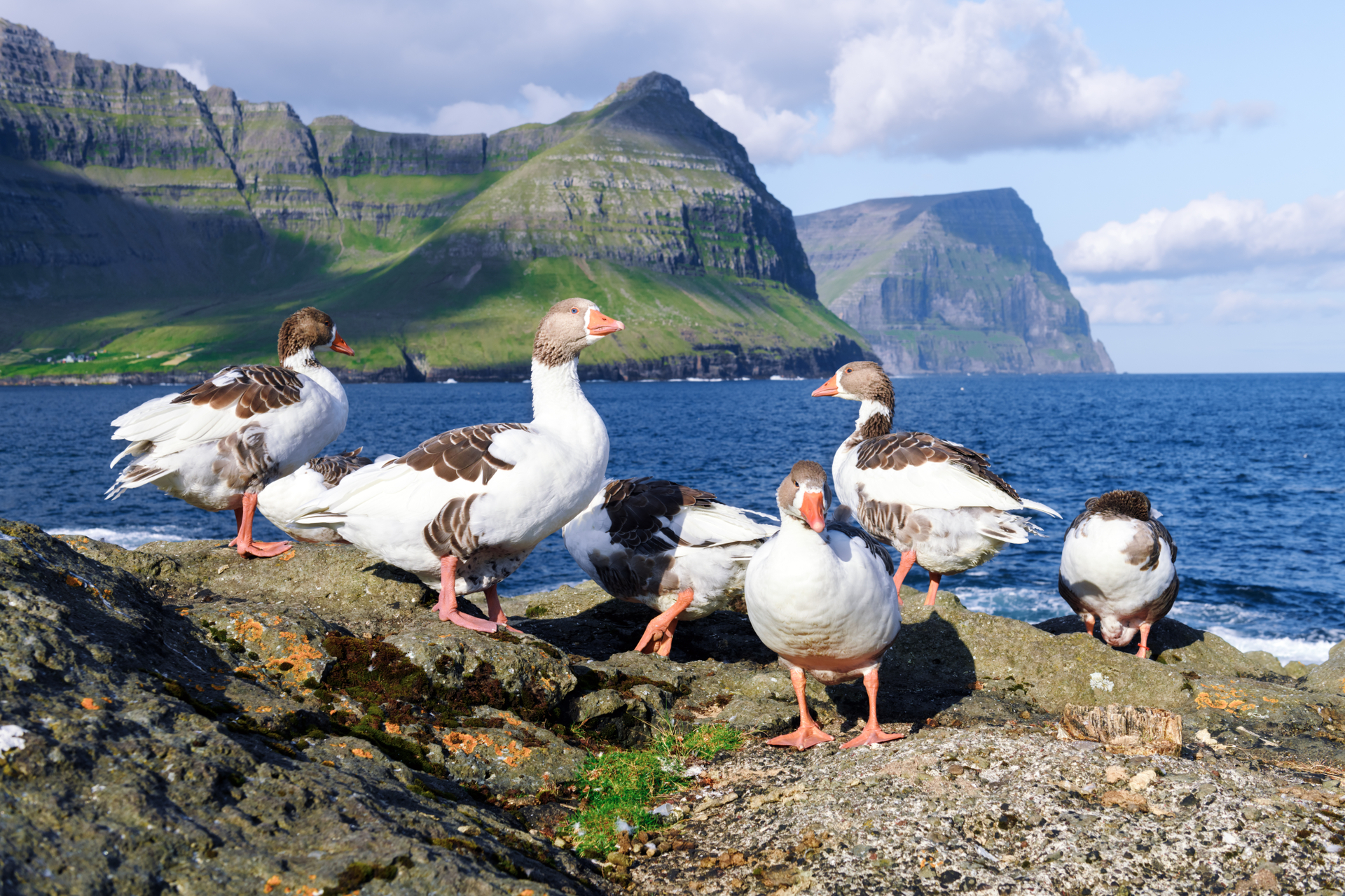 shutterstock_1521348407.jpg