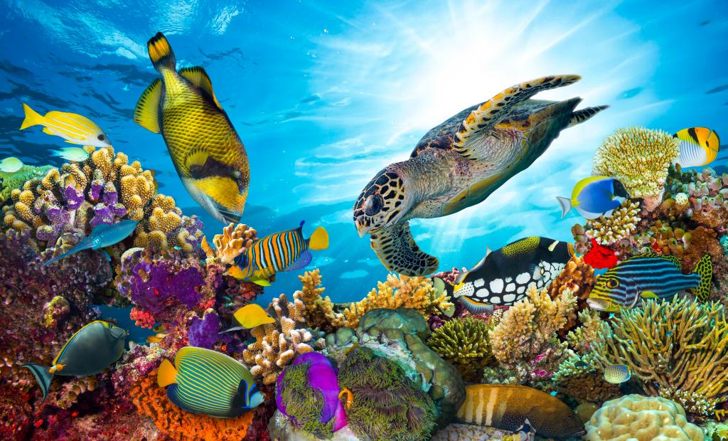 shutterstock_295429772.jpg