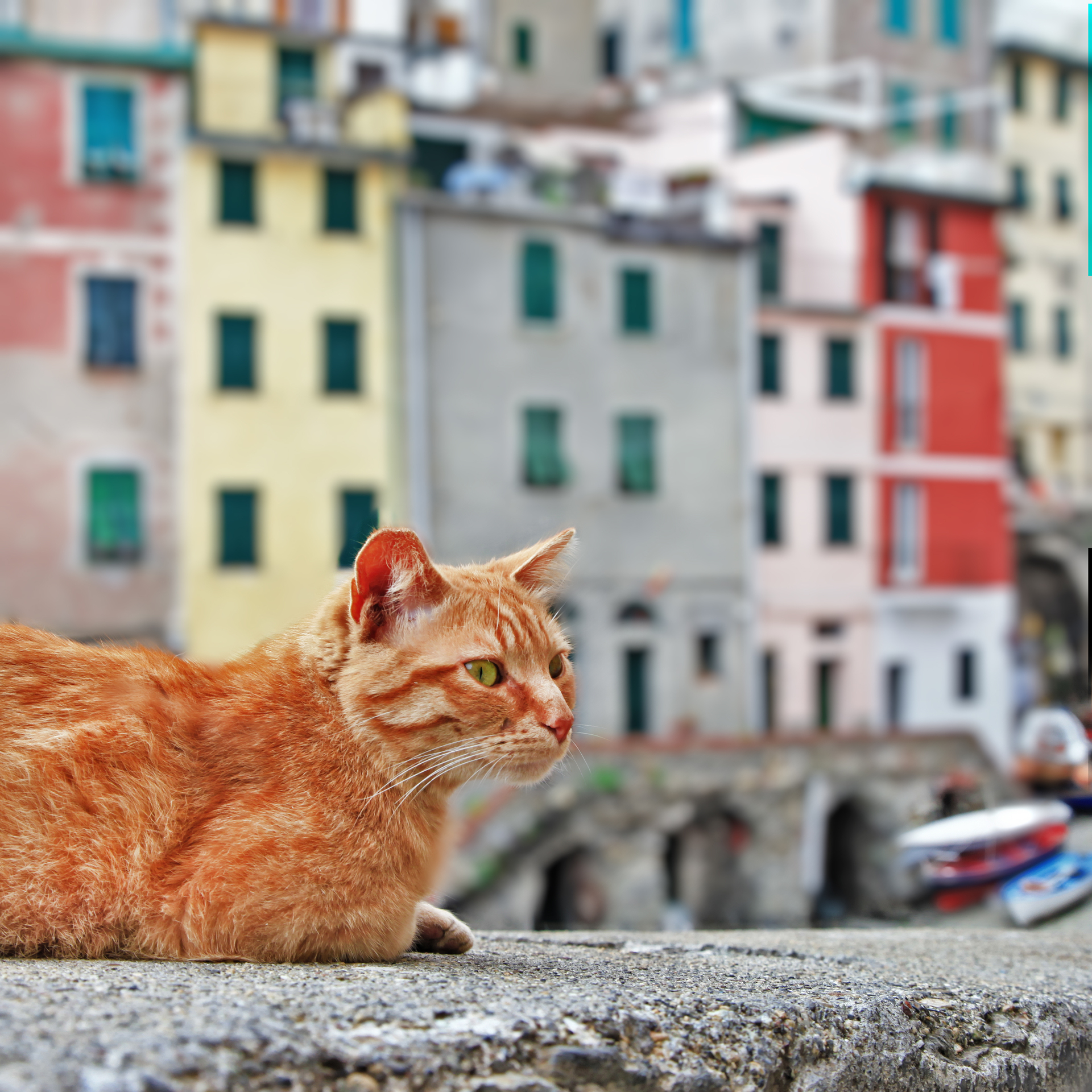 shutterstock_109980380.jpg