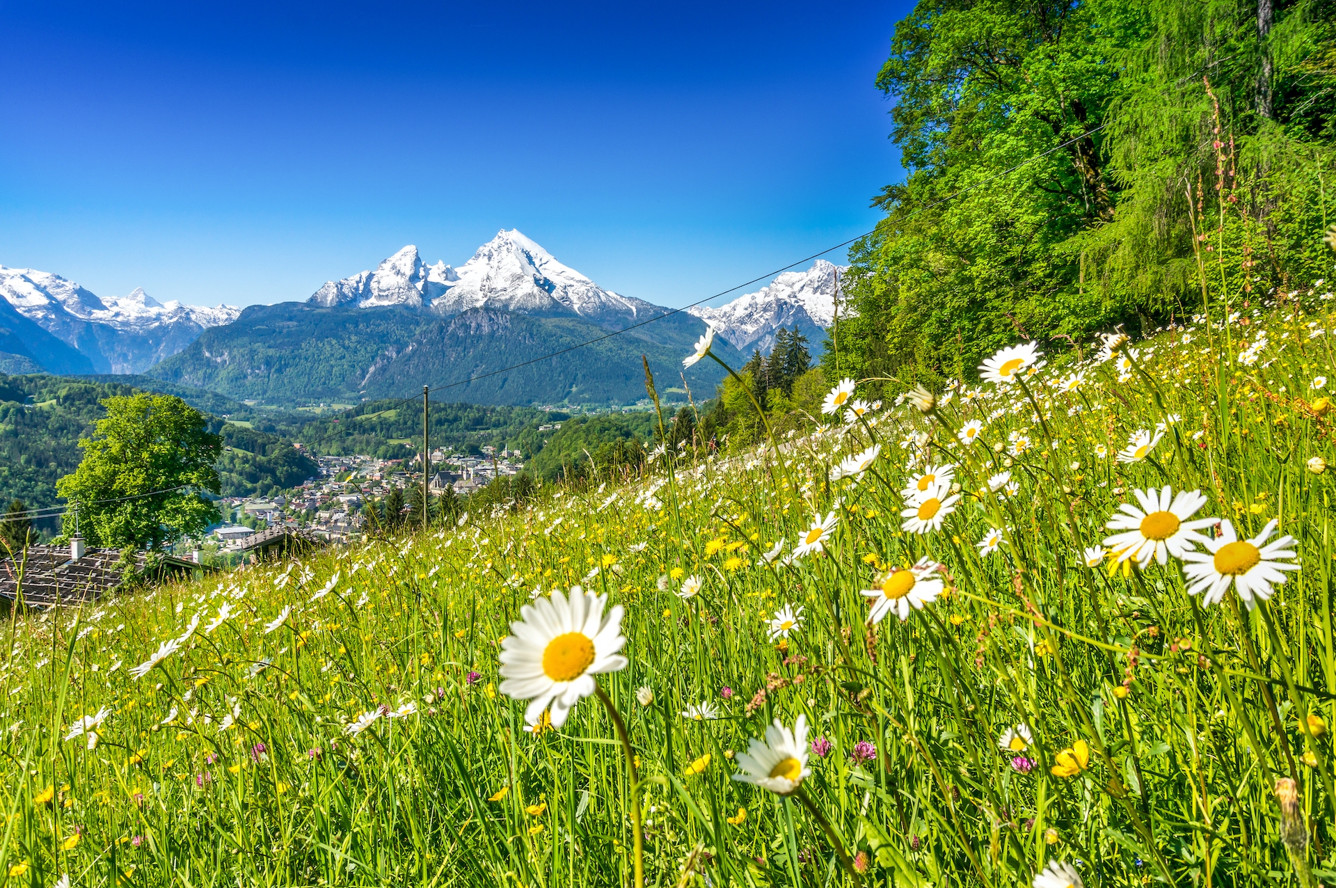 shutterstock_274978664.jpg