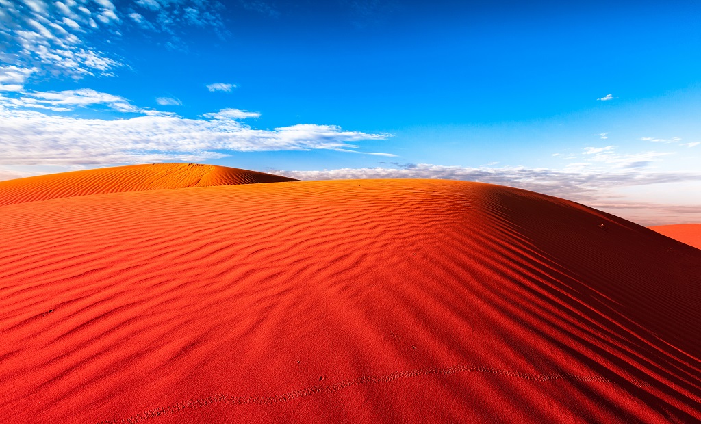 shutterstock_131377037.jpg