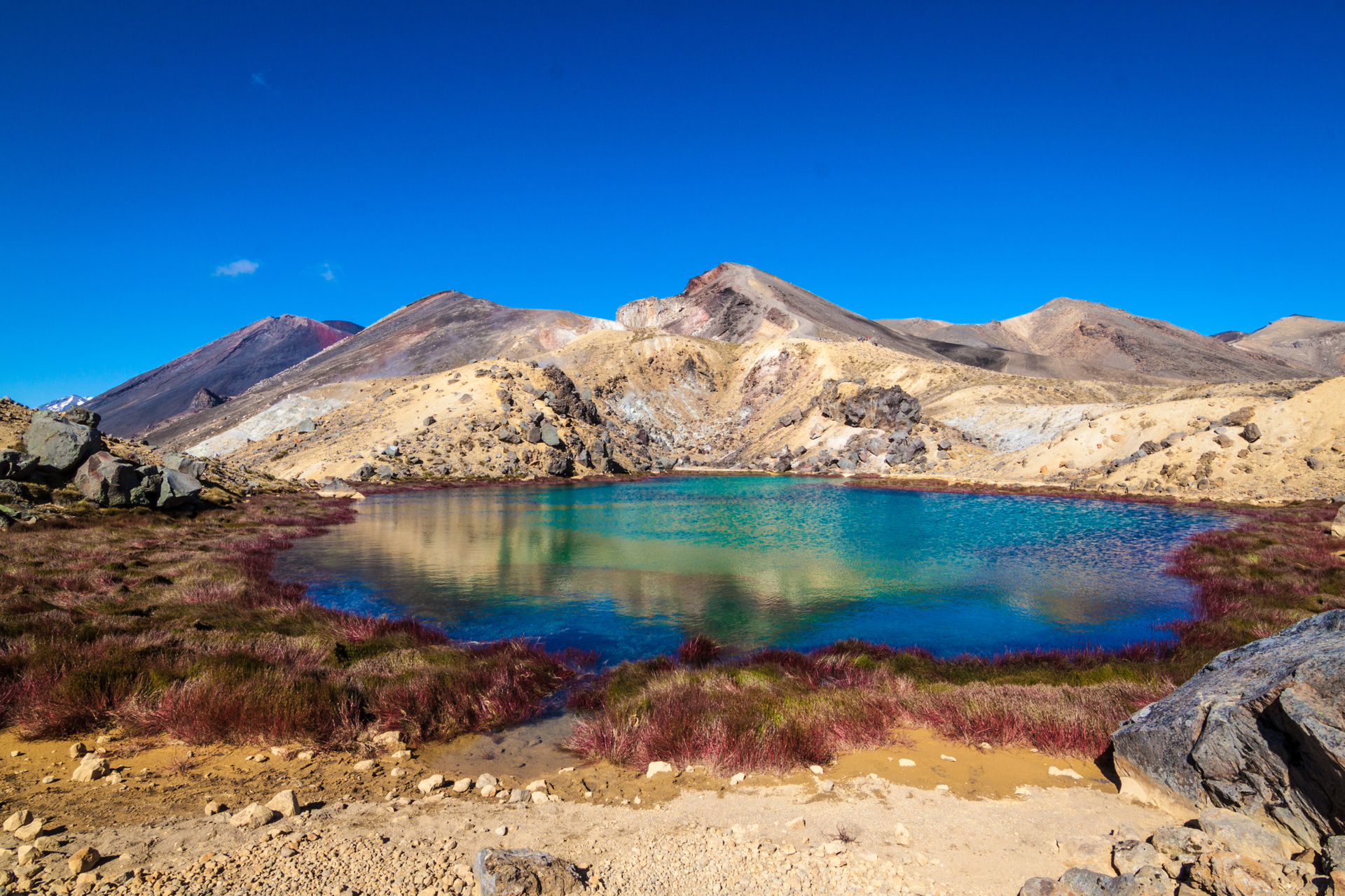 shutterstock_750395242.jpg