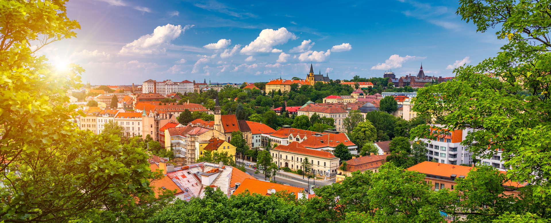 shutterstock_1387909097.jpg