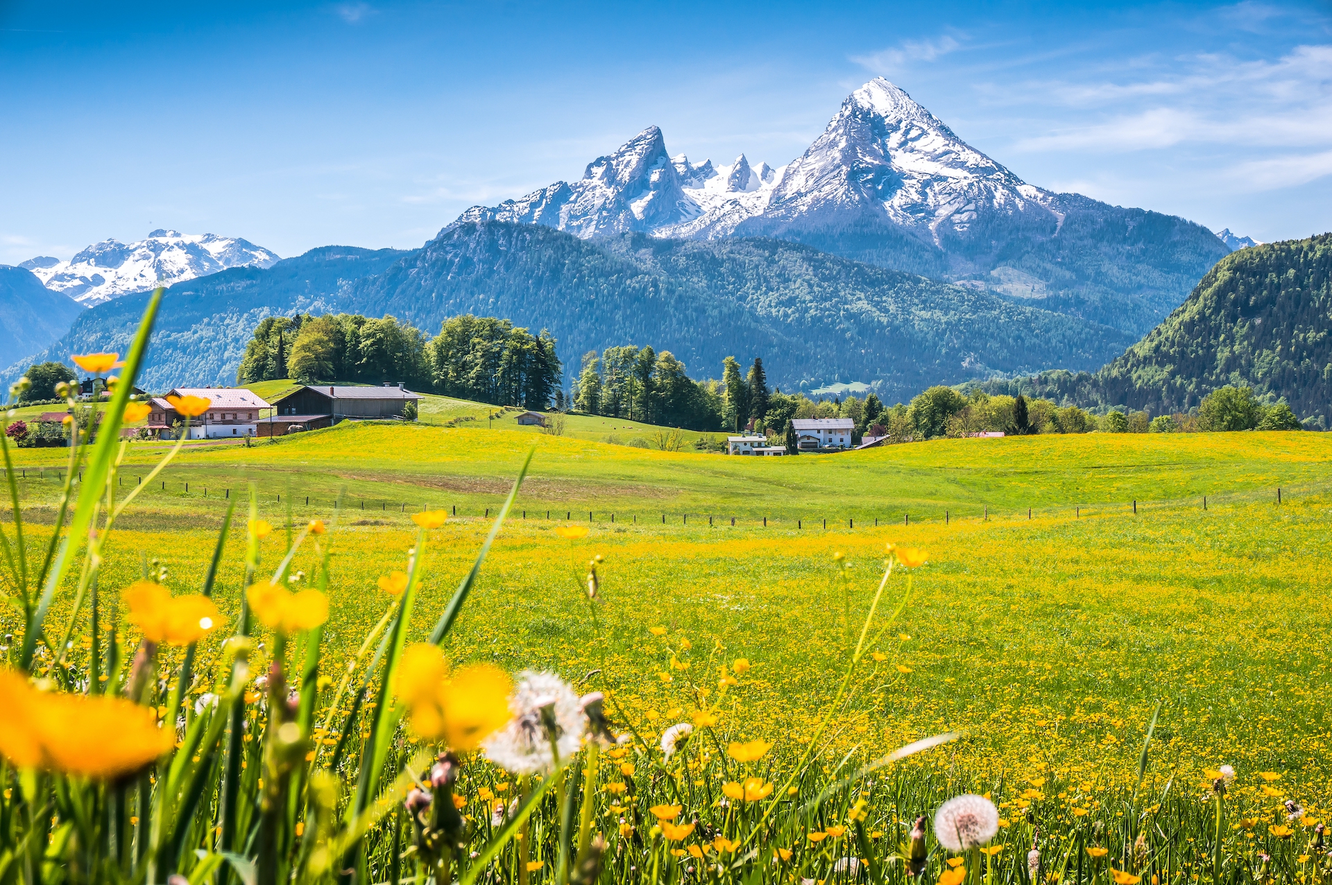 shutterstock_343761302.jpg