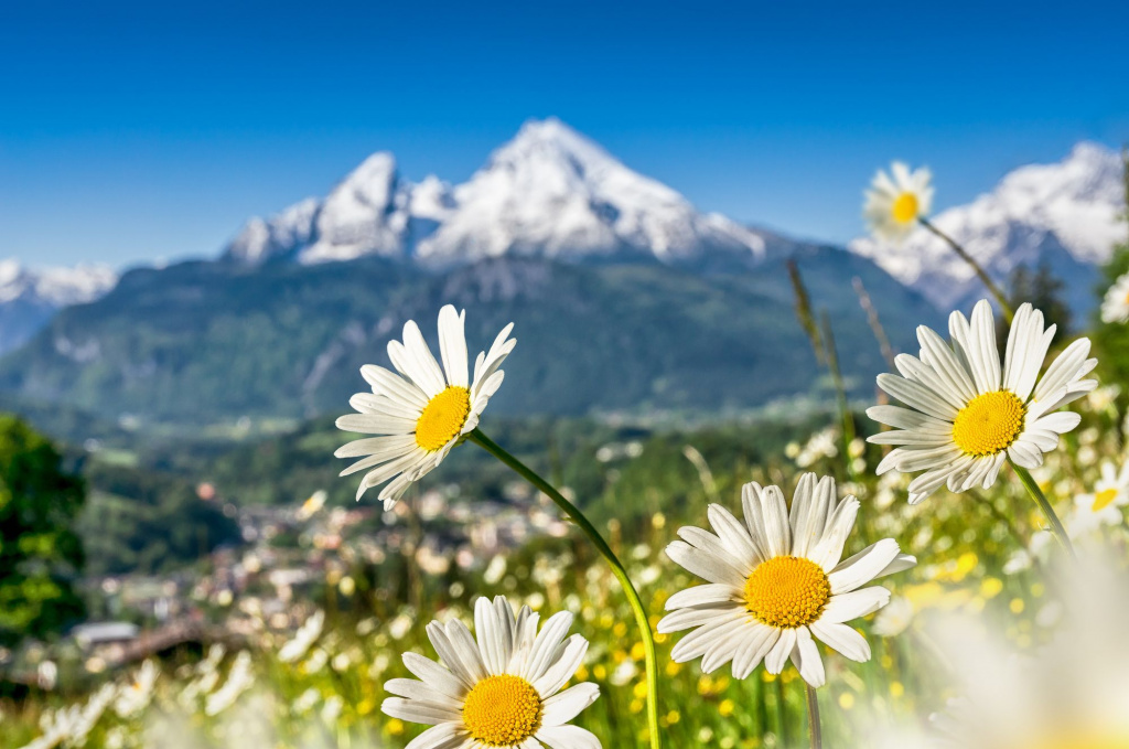 shutterstock_443231218.jpg