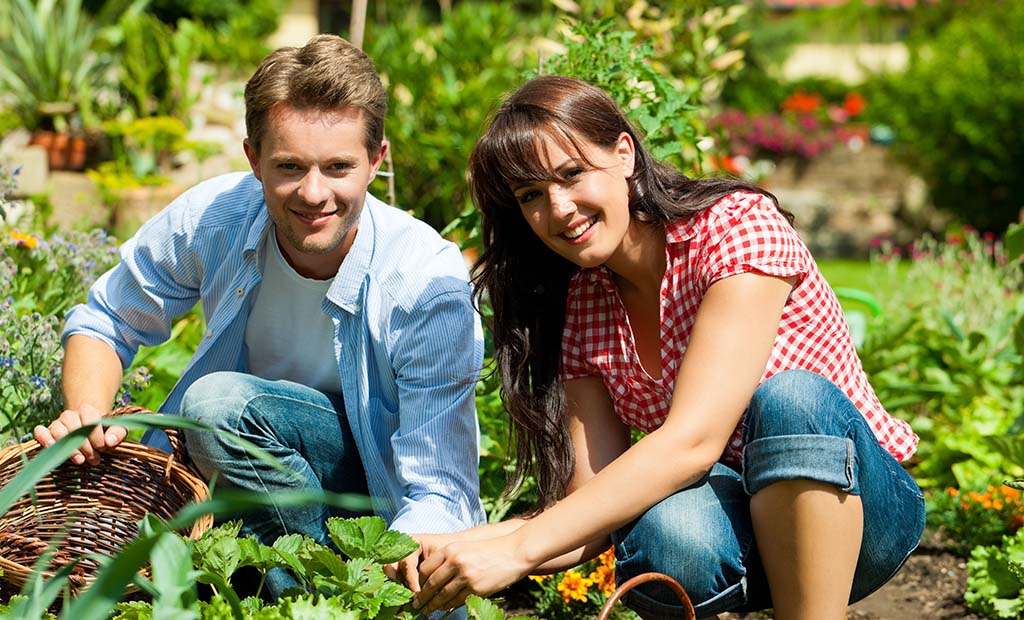 shutterstock_101142337.jpg