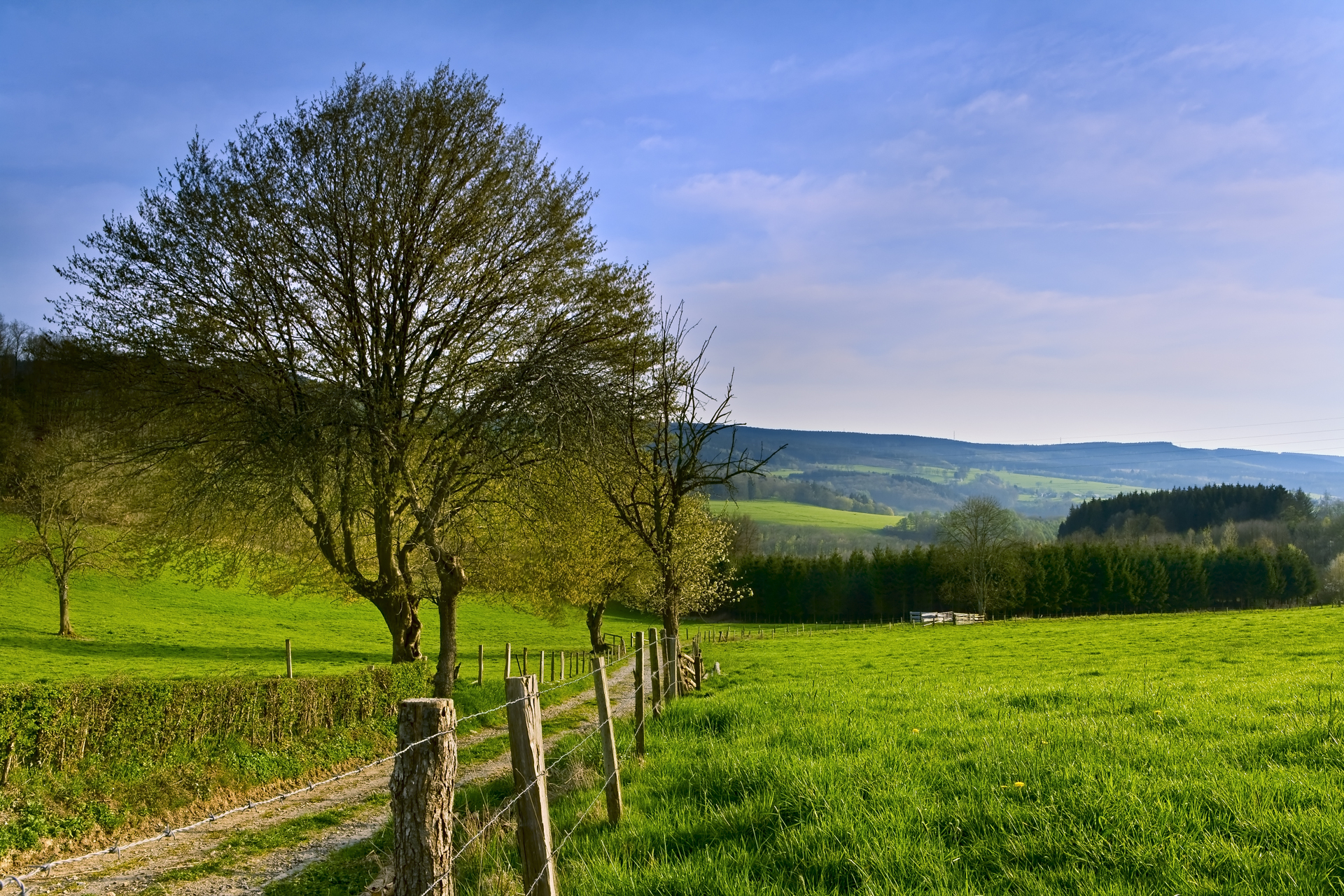 shutterstock_46049791.jpg