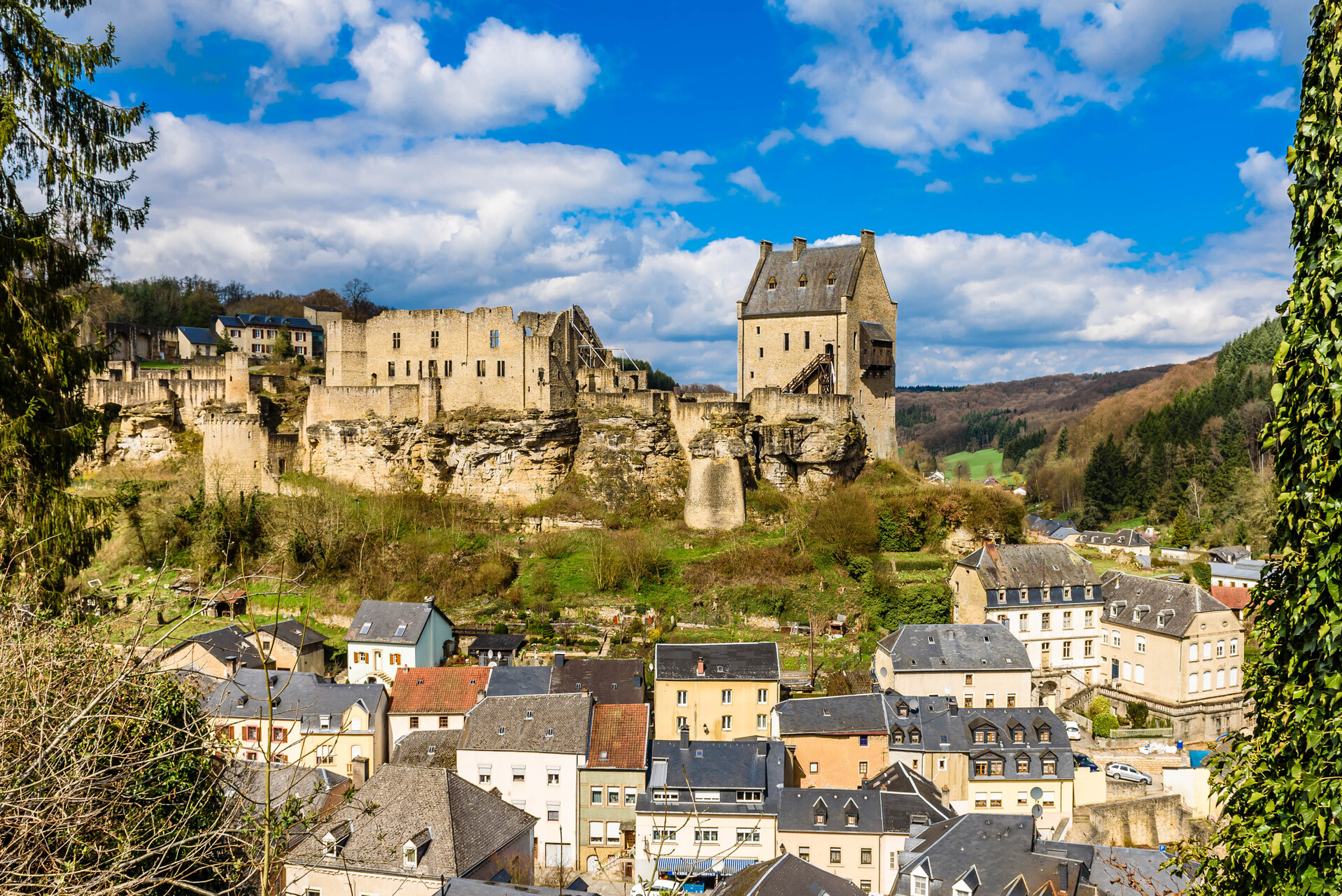 shutterstock_542770921.jpg