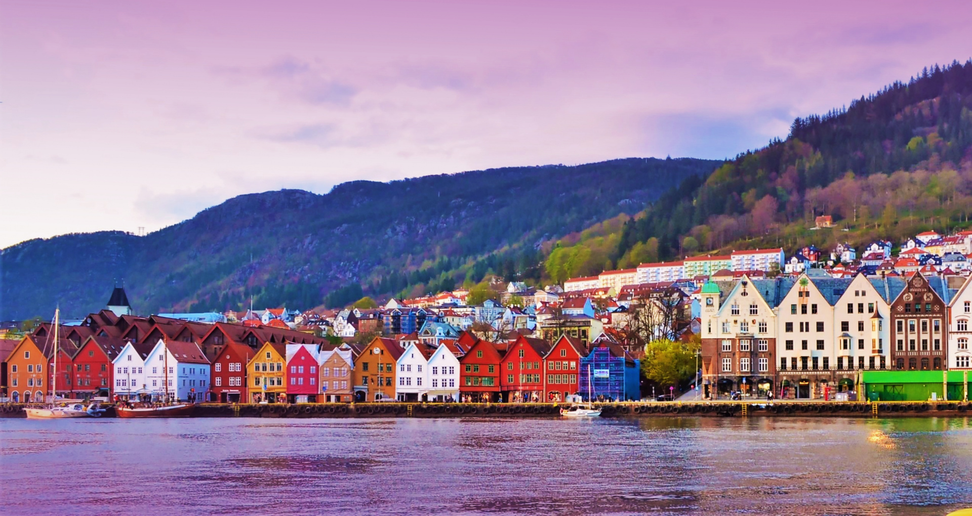 shutterstock_1189621171.jpg shutterstock_1189621171.jpg