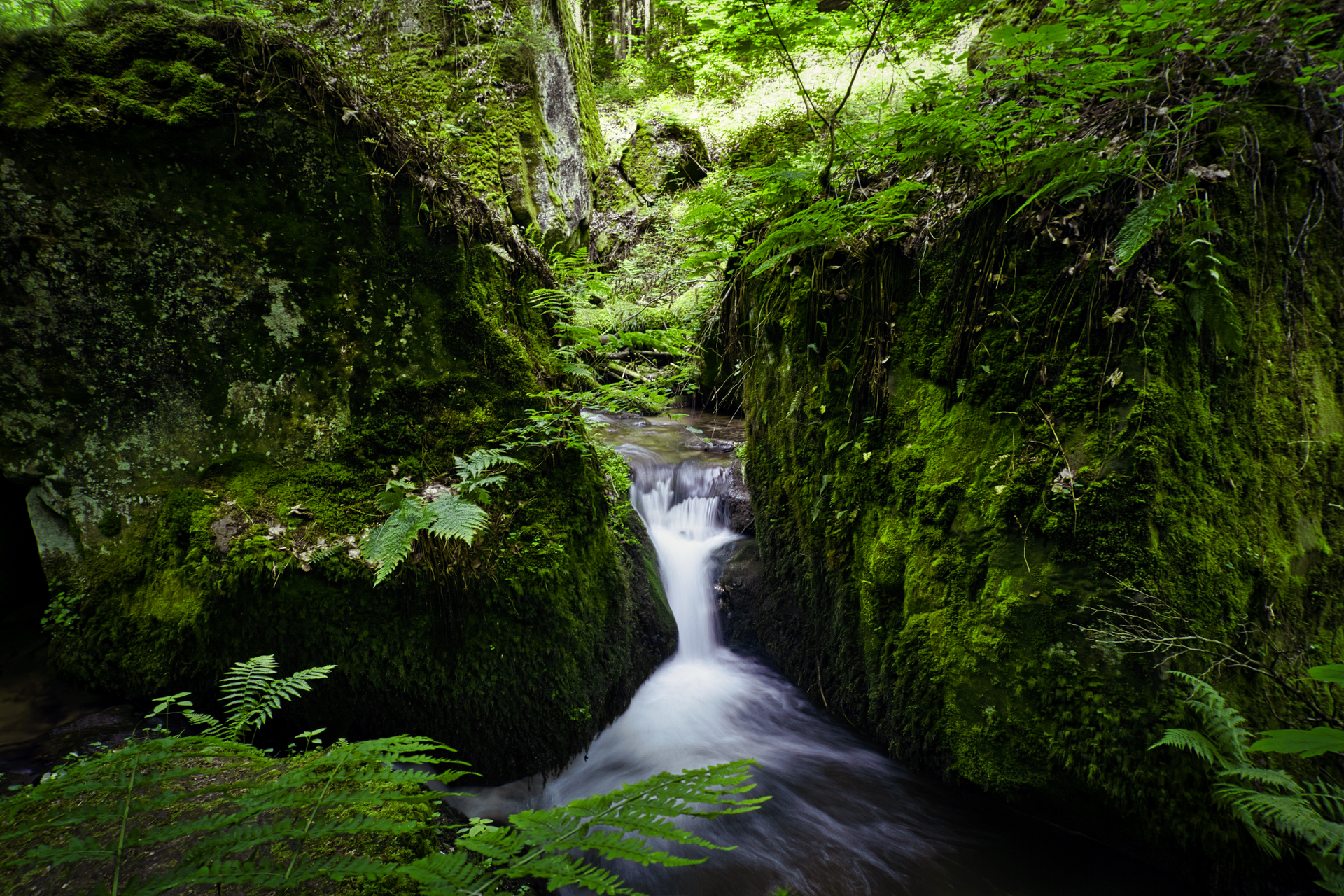 shutterstock_1100066906.jpg