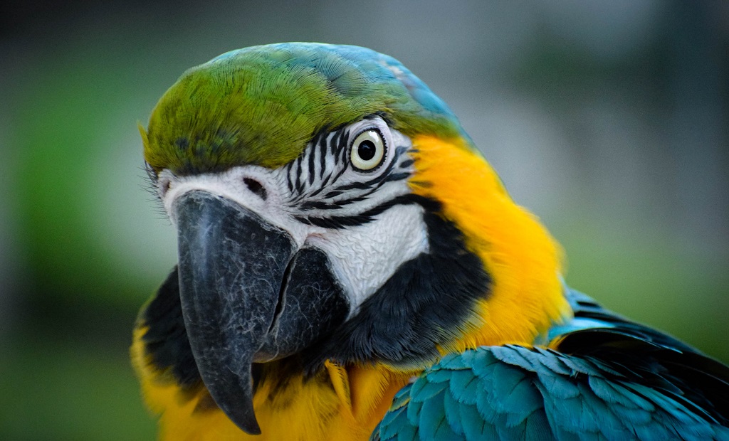 shutterstock_1611198697.jpg
