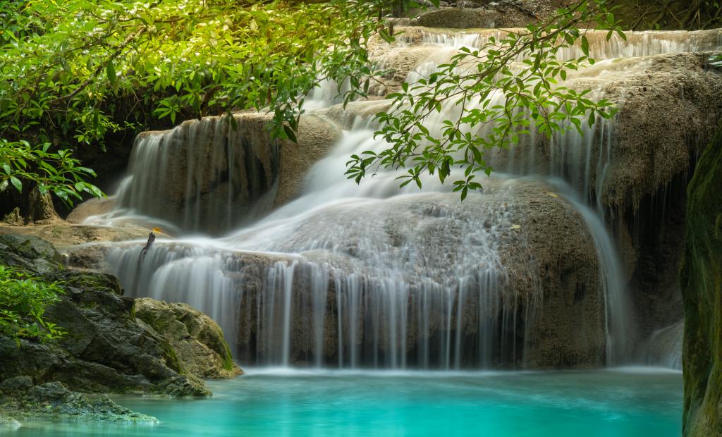 shutterstock_1427973020.jpg