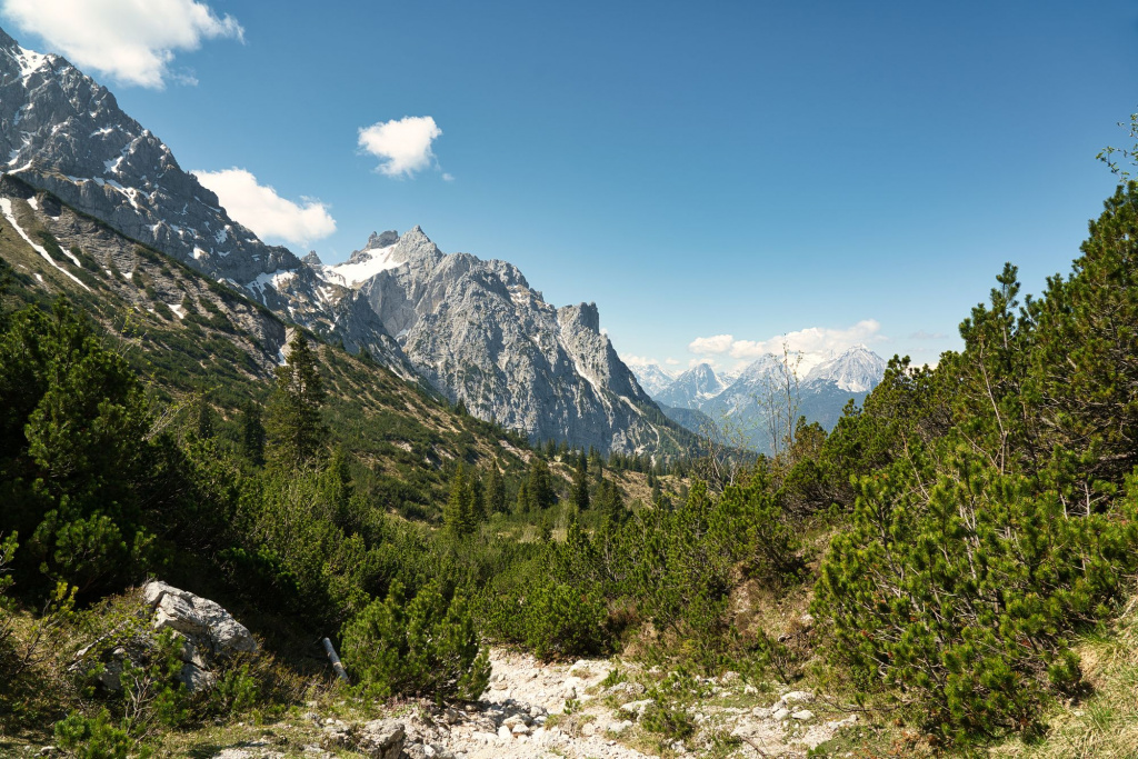 shutterstock_1750998389.jpg