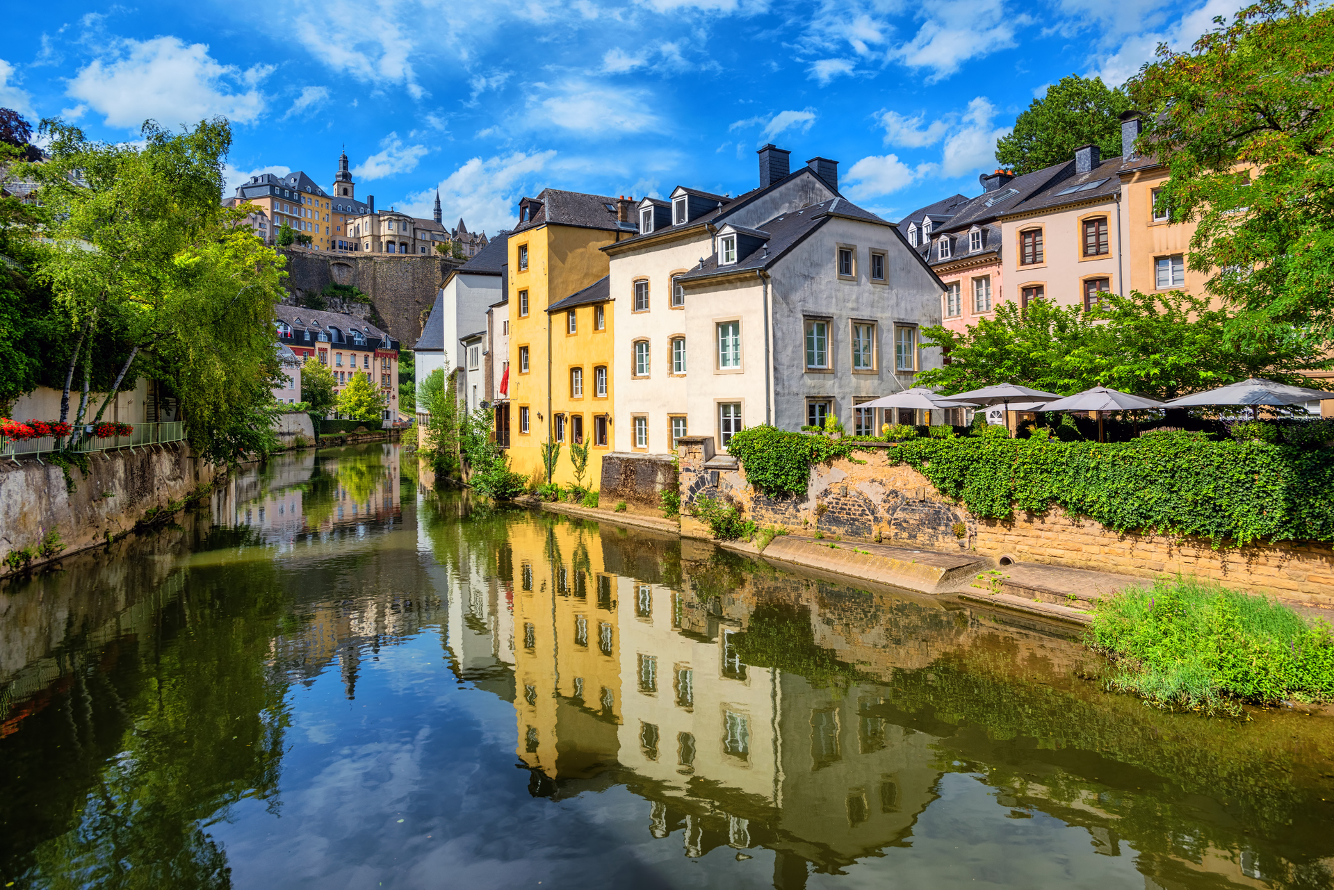shutterstock_1313619515.jpg
