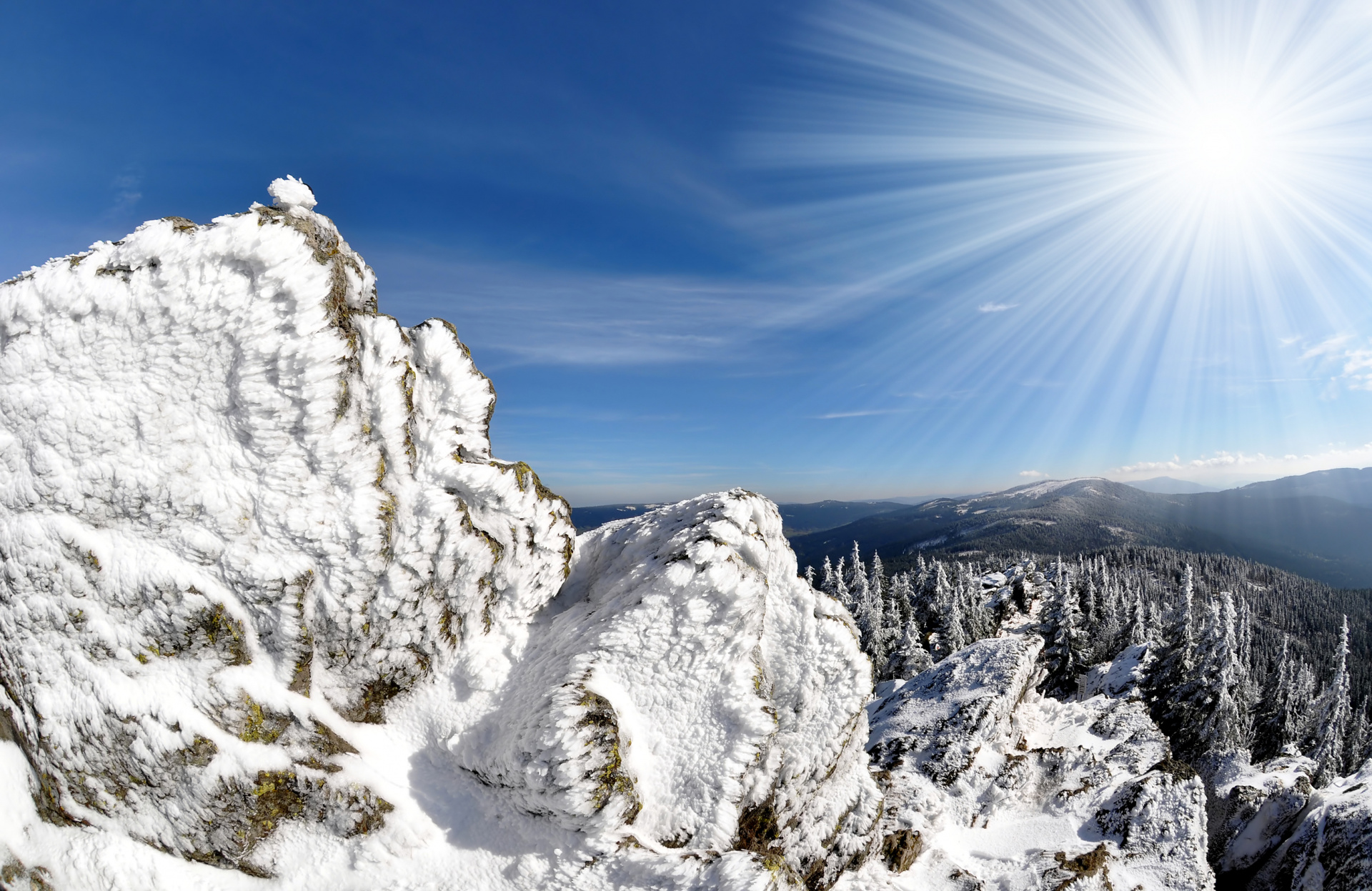 shutterstock_65517967.jpg