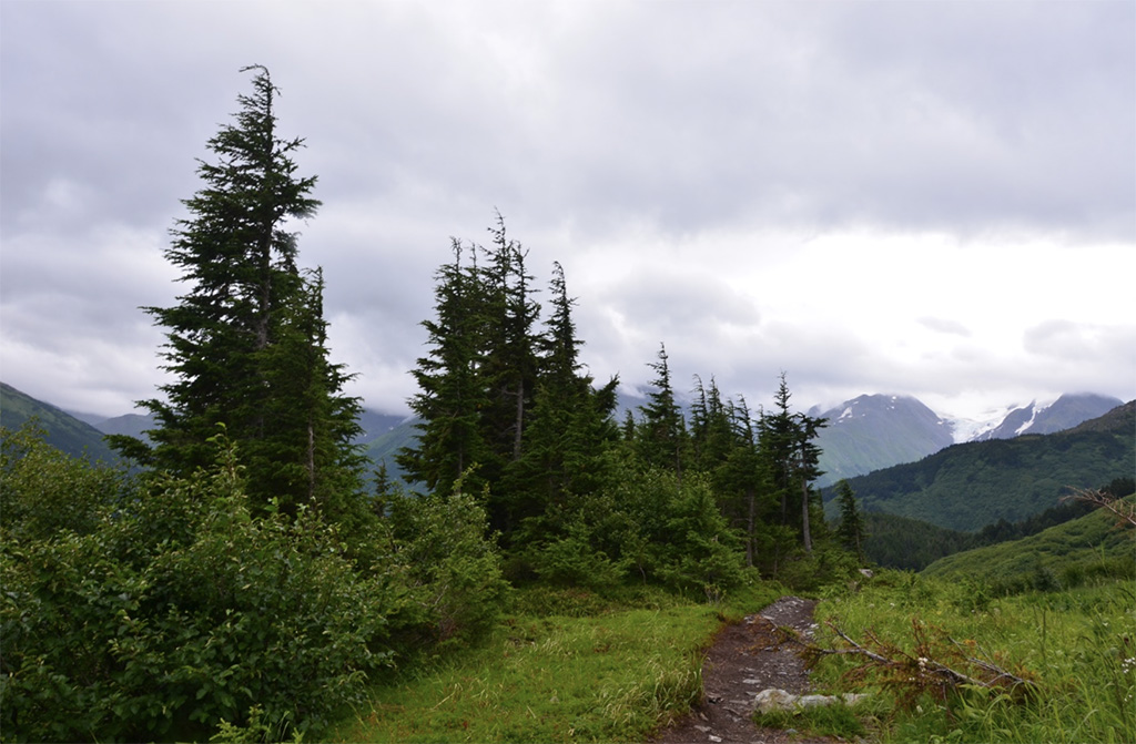 12-alaska.jpg
