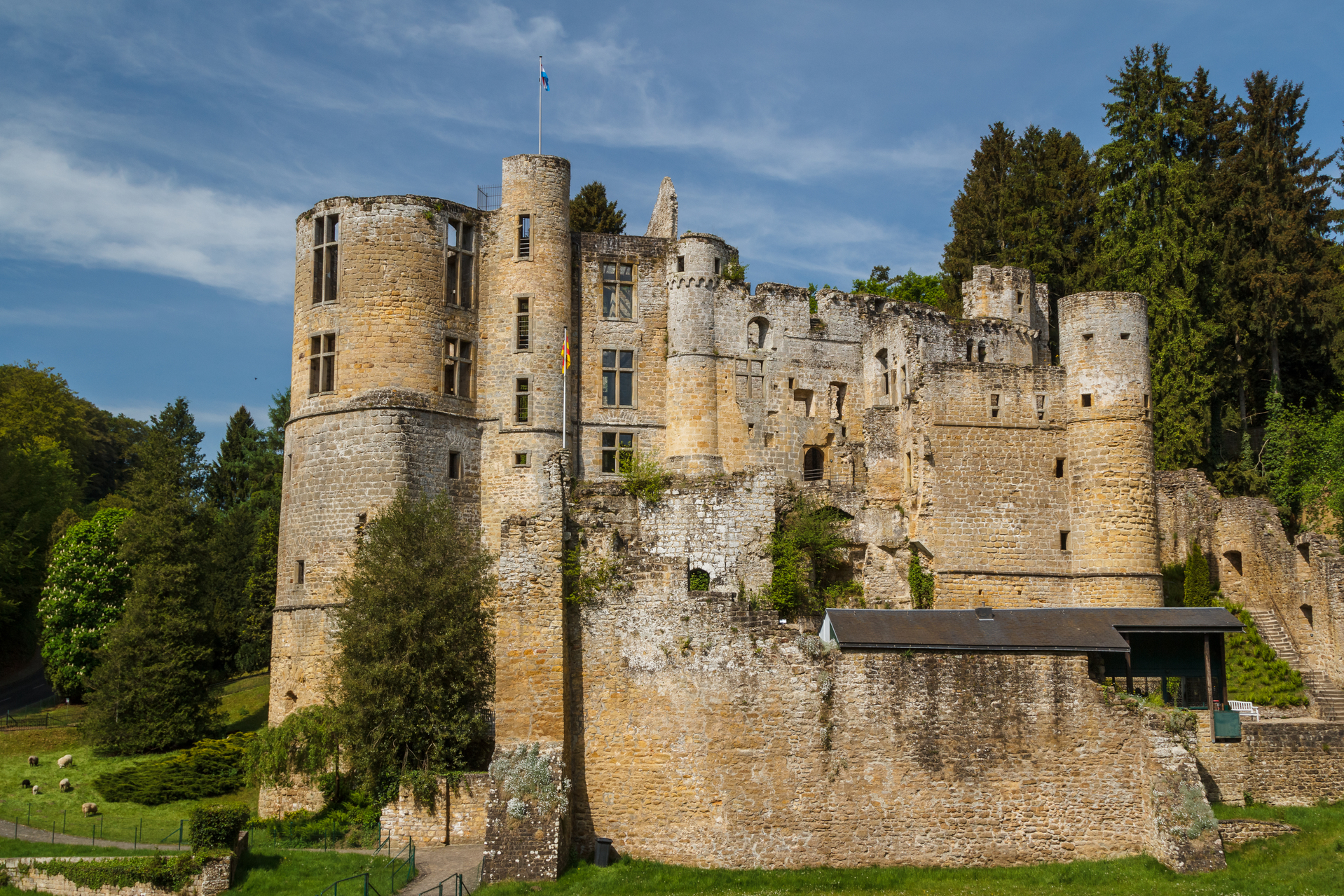shutterstock_575611924.jpg