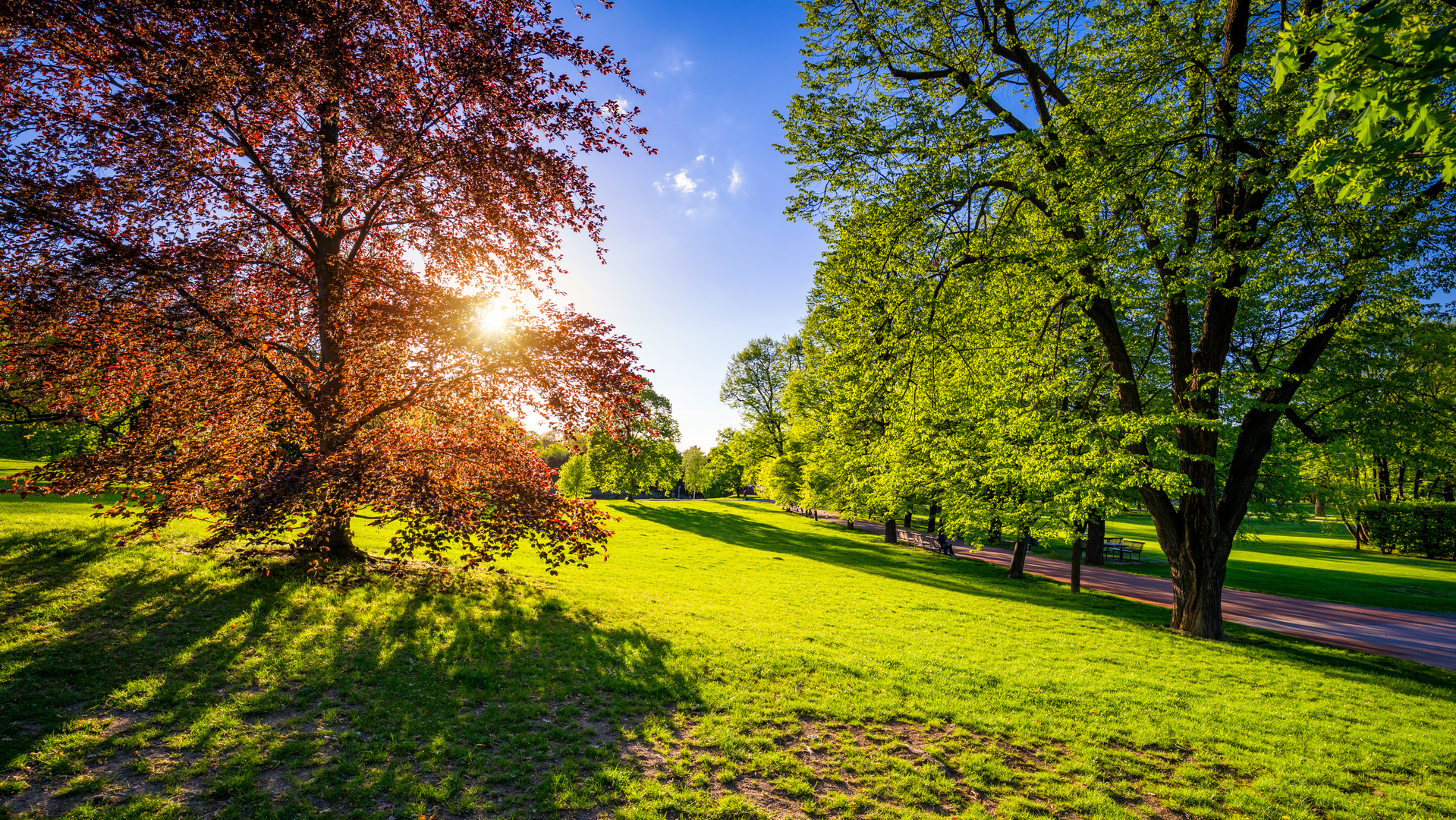 shutterstock_1622844505.jpg