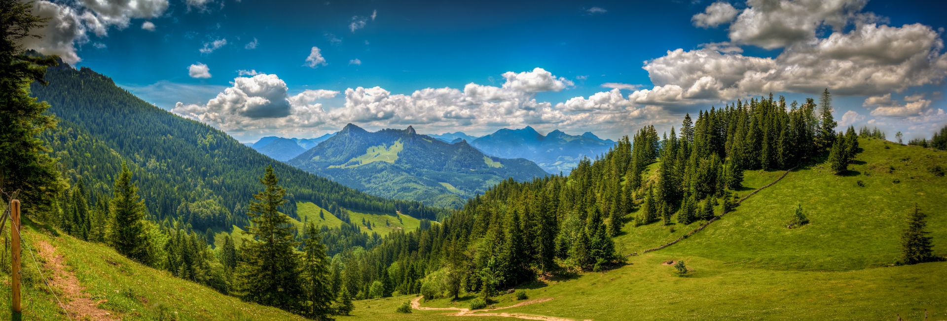 shutterstock_597760370.jpg