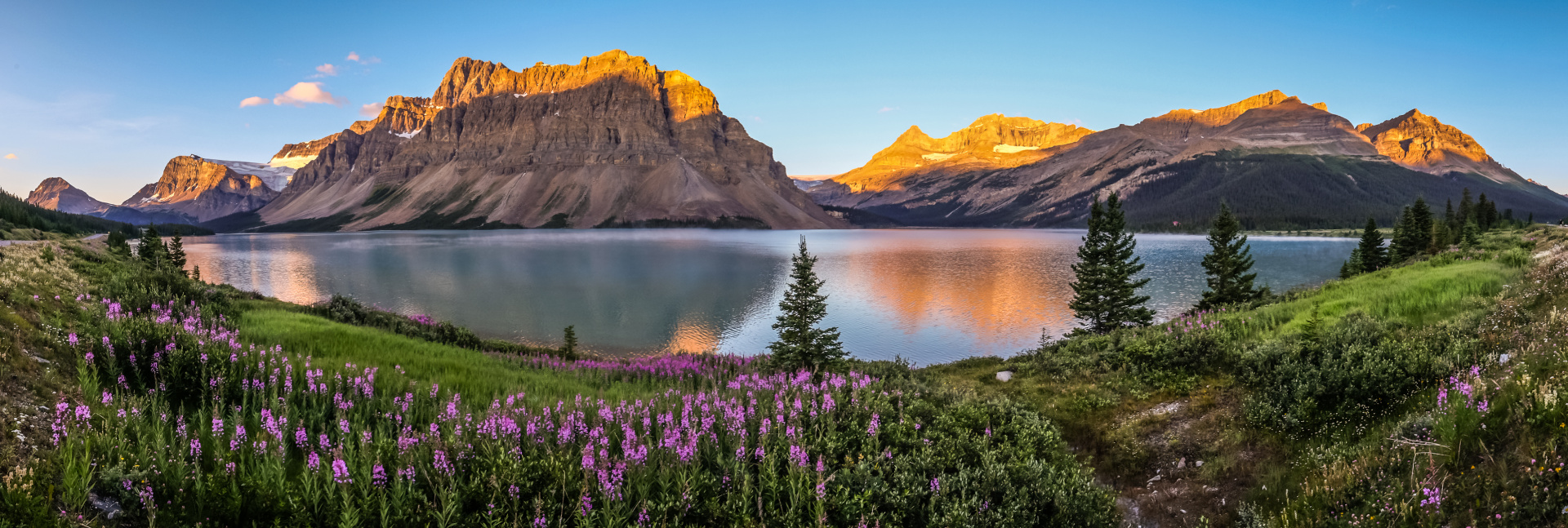 shutterstock_312509318.jpg