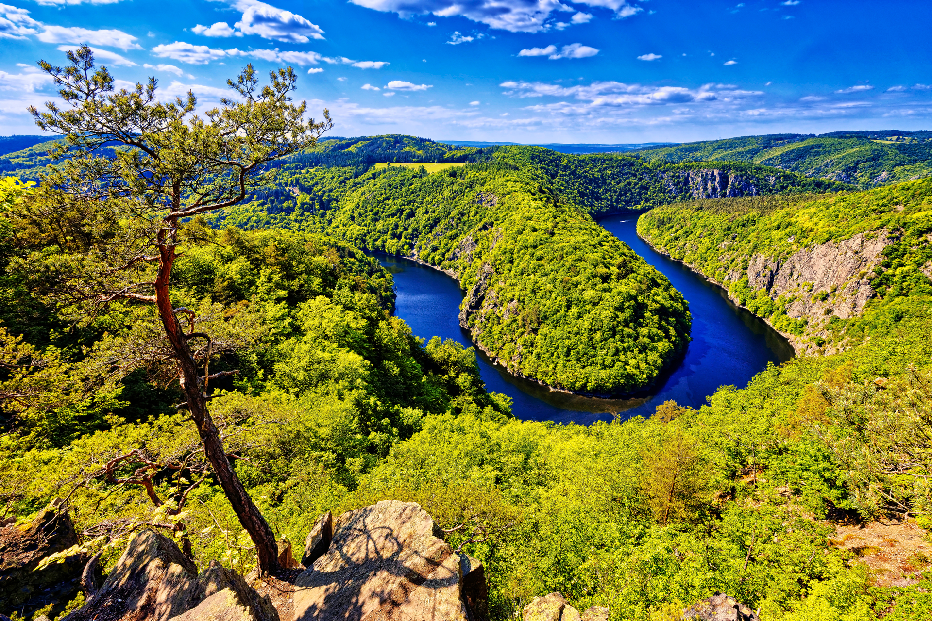 shutterstock_1159676071.jpg
