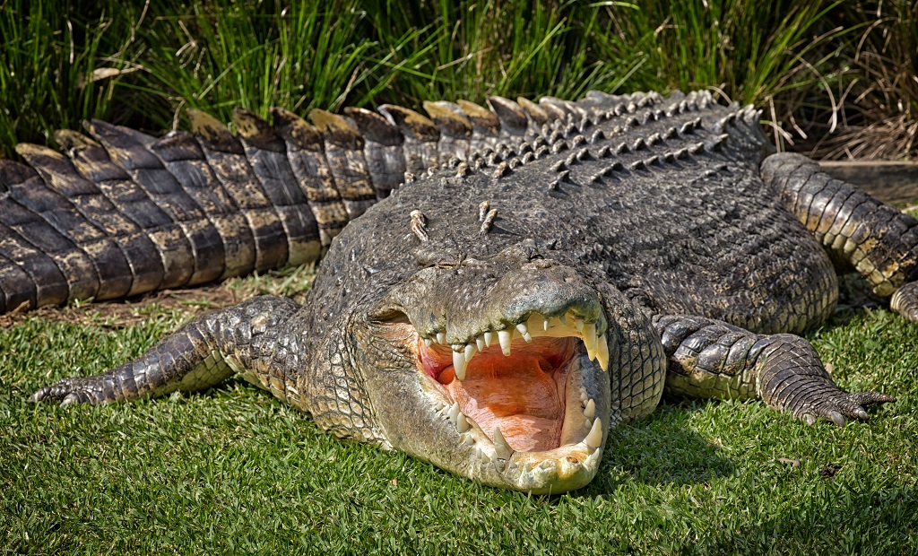 shutterstock_405489601.jpg