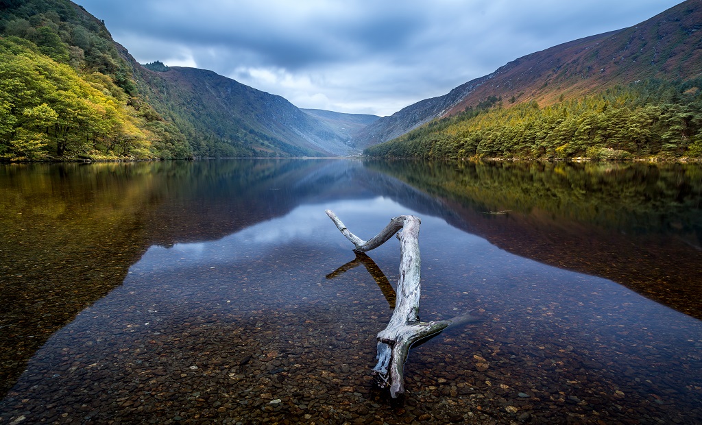 shutterstock_1390525106.jpg
