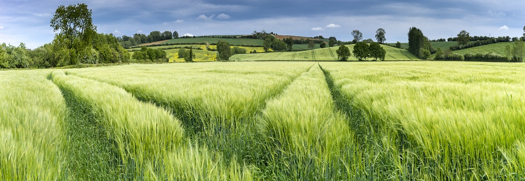 shutterstock_286802078.jpg