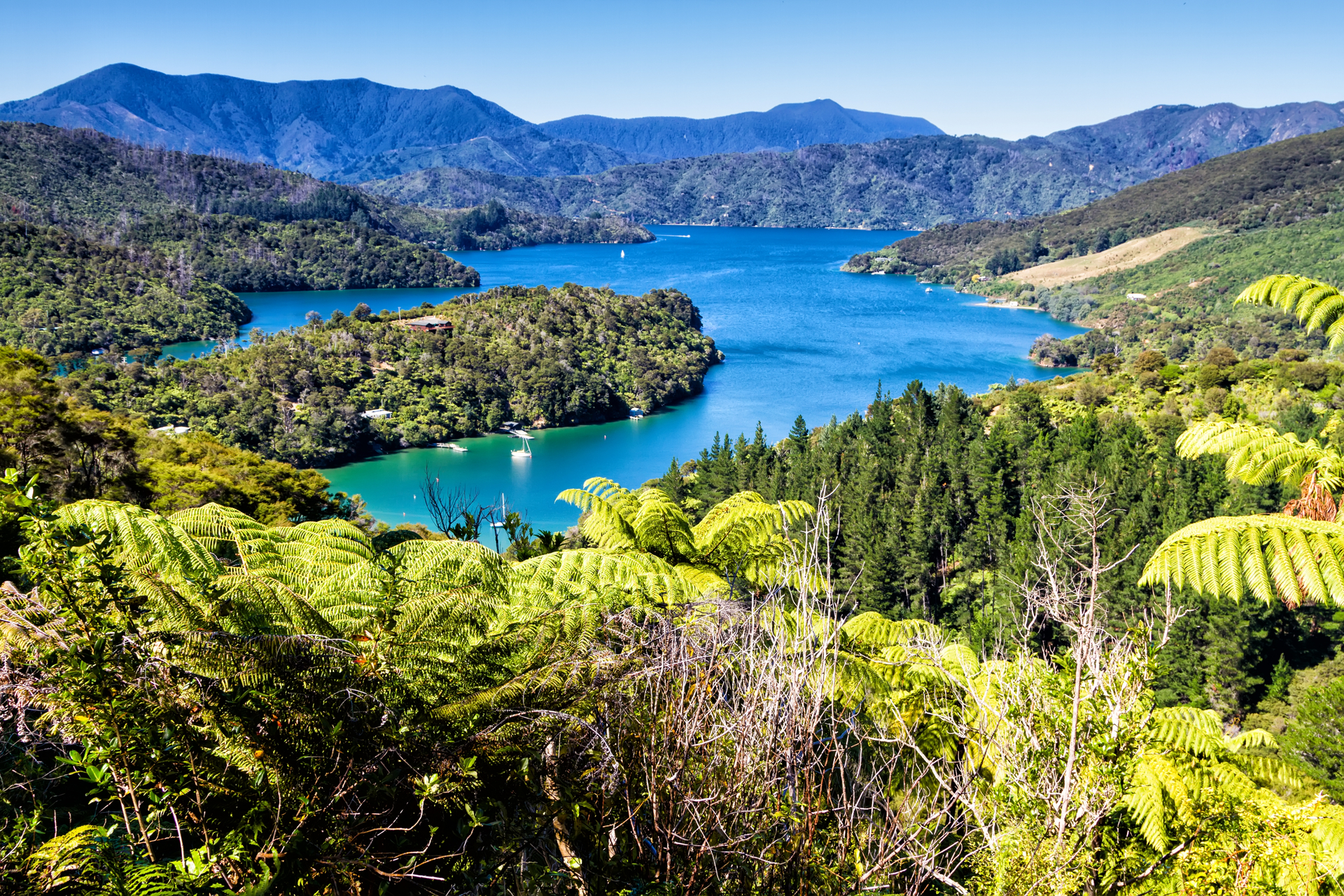 shutterstock_1008023911.jpg