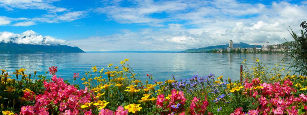shutterstock_385555651.jpg
