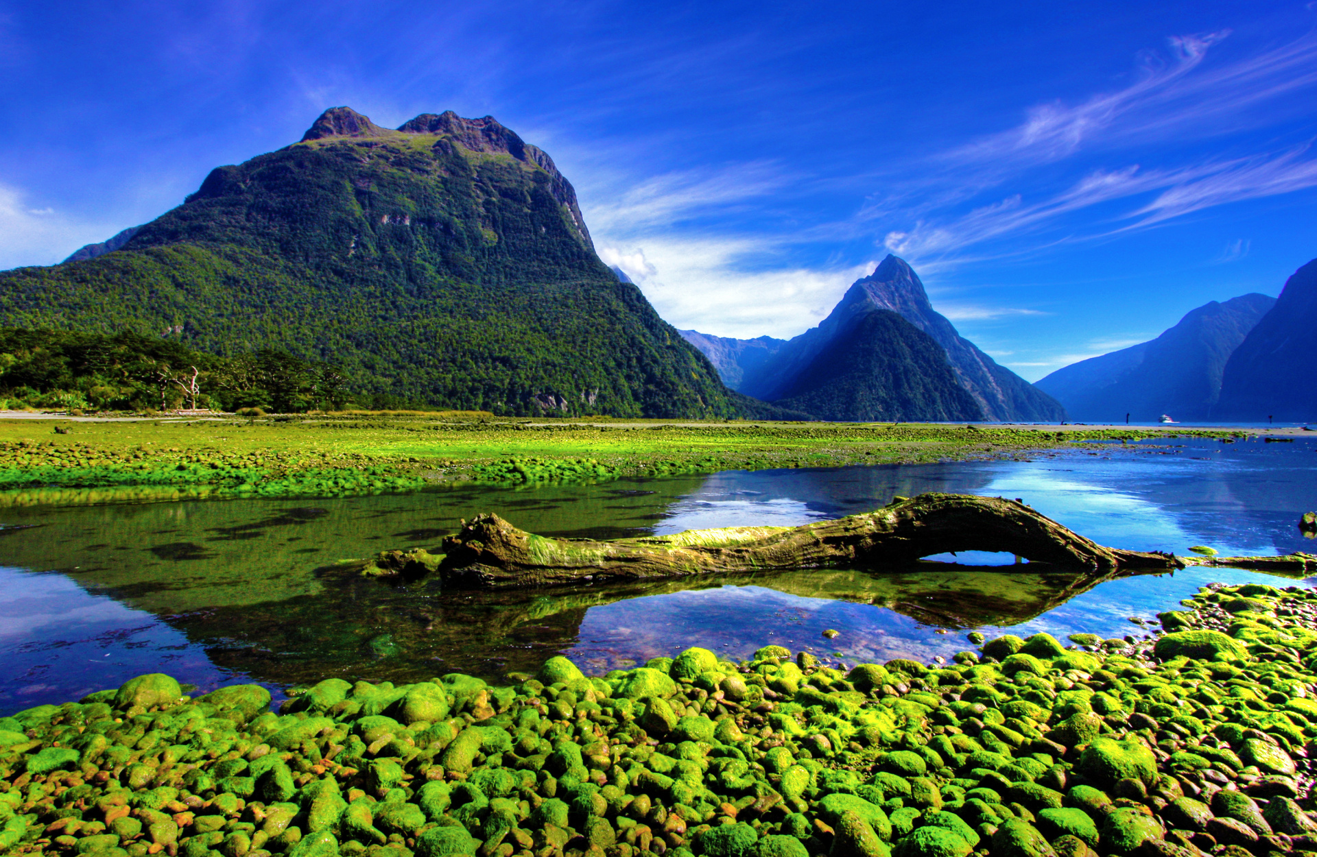 shutterstock_163224299.jpg