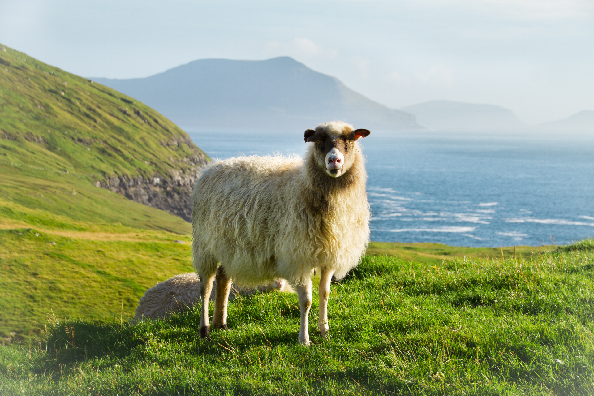 shutterstock_481514635.jpg