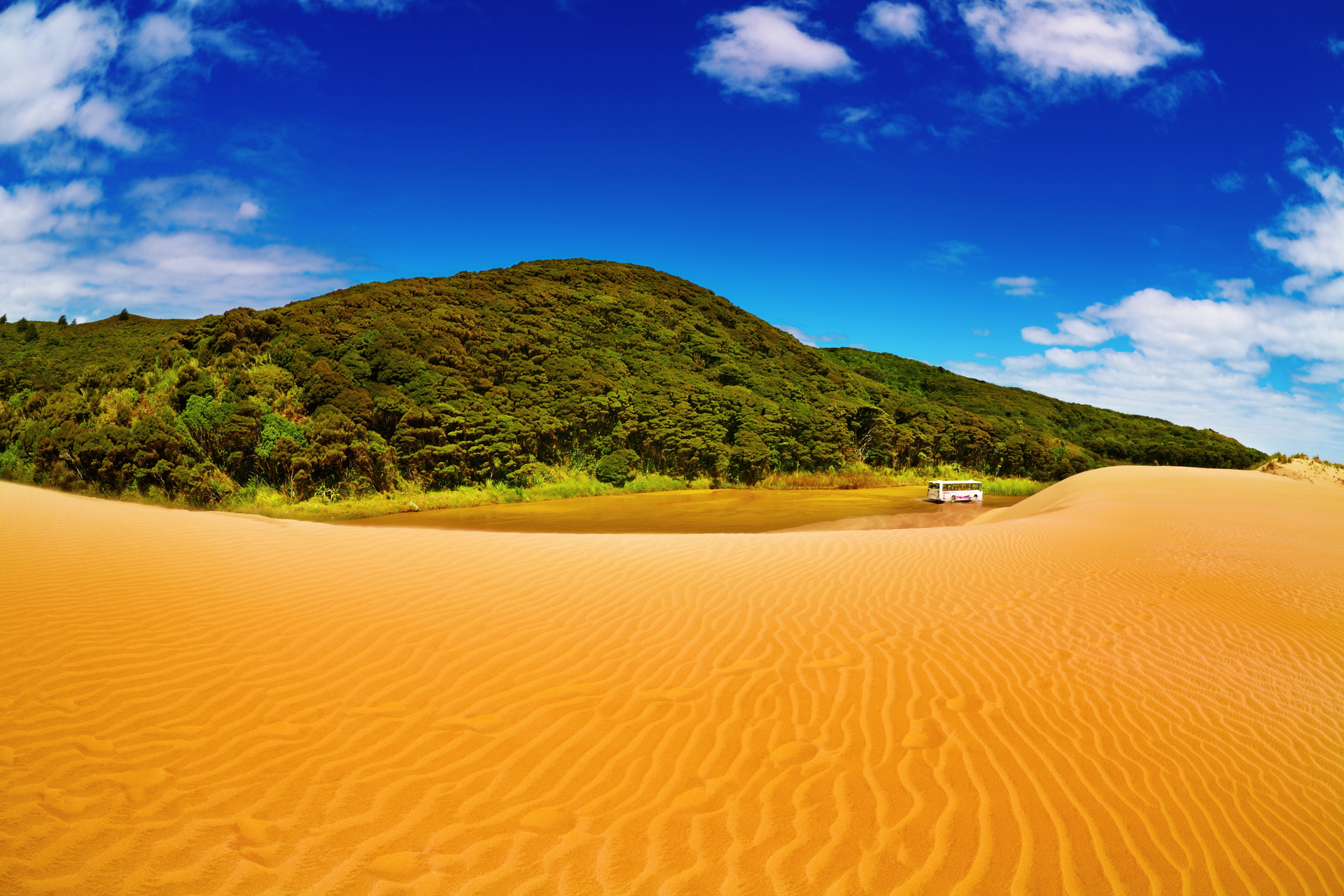 shutterstock_27132355.jpg
